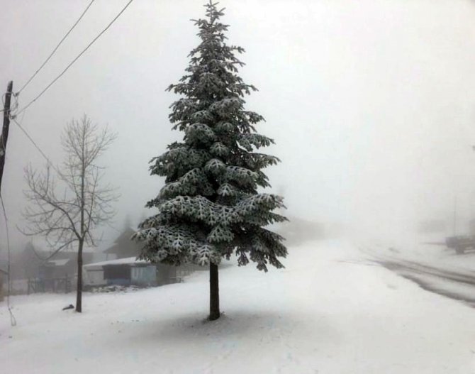 Sakarya’da Yüksek Kesimler Beyaza Büründü