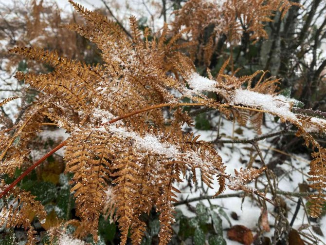 Sakarya’da Yüksek Kesimler Beyaza Büründü
