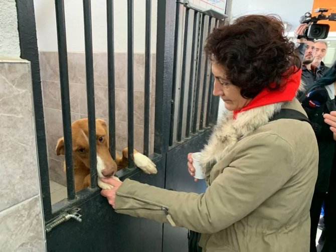 Hayvanseverler Rehabilitasyon Merkezine Gitti, Sosyal Medyadaki İddialar Yalanlandı
