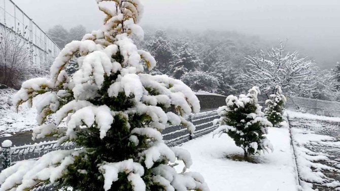Türkiye’nin İlk Milli Parkı Beyaza Büründü