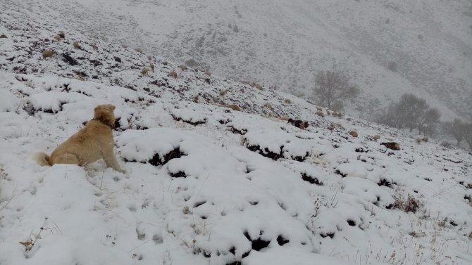 Malatya’da Kent Merkezinde Yağmur, Yüksek Kesimlerde Kar Yağışı