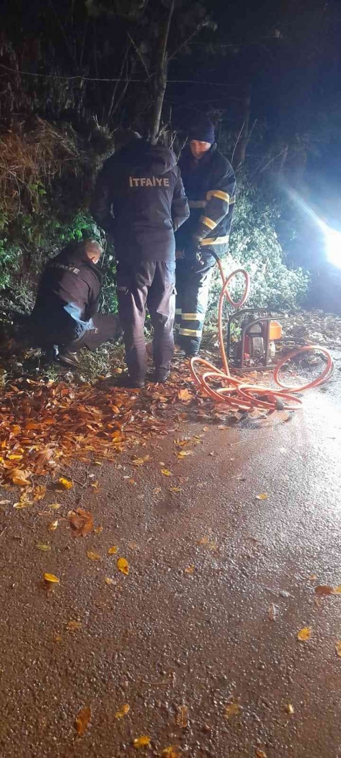 Tellerin Arasındaki Kediyi Kurtardılar