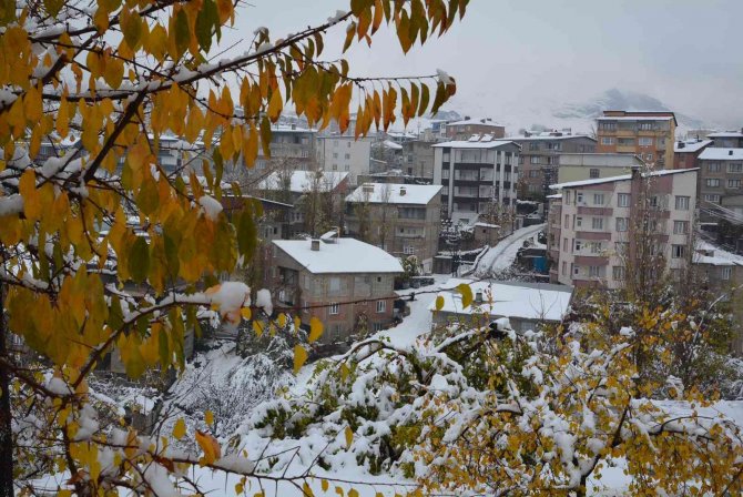 Hakkari’de 45 Köy, 110 Mezra Yolu Ulaşıma Kapandı