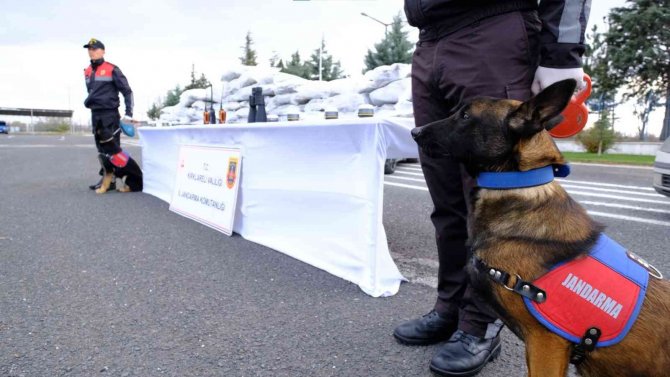 Kırklareli Tarihinin En Büyük Uyuşturucu Operasyonu: 86 Kilogram Skunk Ele Geçirildi