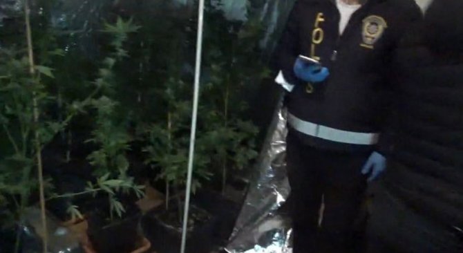 Büyükada’da Uyuşturucu Operasyonu: 1 Şüpheli Yakalandı