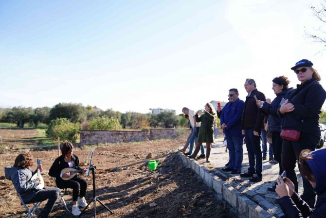 Dünya Zeytin Ağacı Günü’nde Zeytin Diktiler