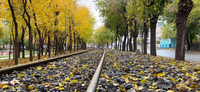 Batman’da Sonbahar Yaprakları Süpürülmeyecek