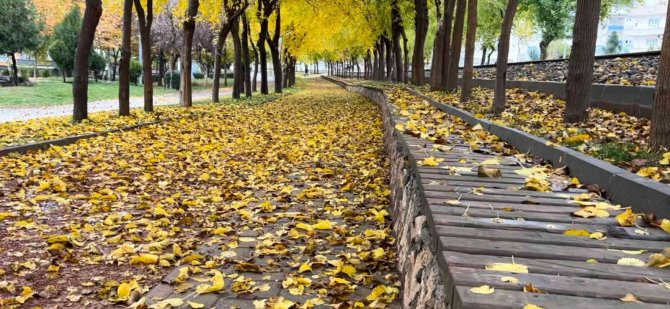 Batman’da Sonbahar Yaprakları Süpürülmeyecek