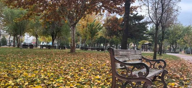 Batman’da Sonbahar Yaprakları Süpürülmeyecek