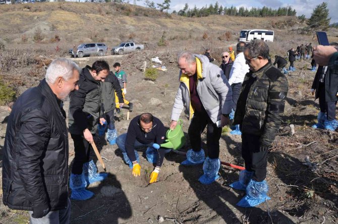 Sarıkamış Şehitleri Anısına 1914 Fidan Toprakla Buluştu