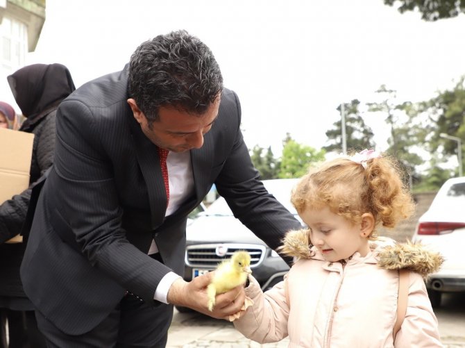 Çarşamba Belediyesi’nden Kaz Yetiştiriciliğine Büyük Katkı