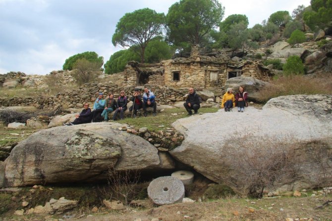Latmos’ta Zeytincilik Yapılan Yerleşim Yerleri Harabeye Dönüyor