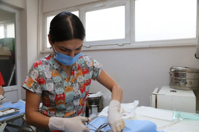 Edremit Belediyesi 7/24 Sokak Hayvanlarının Yanında