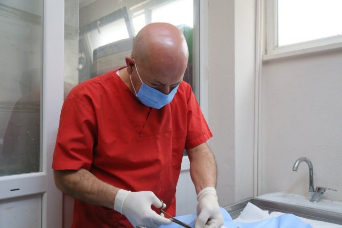 Edremit Belediyesi 7/24 Sokak Hayvanlarının Yanında