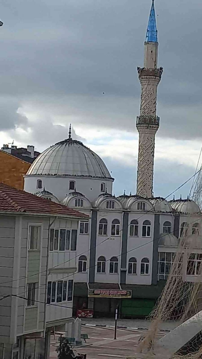 Göçmen Kuşların Cami Çevresindeki Görüntüsü Görsel Şölen Oluşturdu