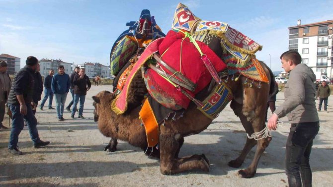 Balıkesir’de Develer İçin Havut Hayrı Yapıldı