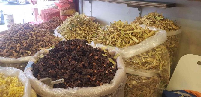 Kilosu 250 İle 400 Lira Arasında Değişen Ihlamur Vatandaşların Vazgeçilmezi Oldu