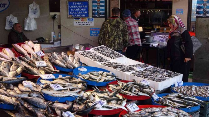 Karadeniz’de Palamuttan Sonra Hamsi Bereketi