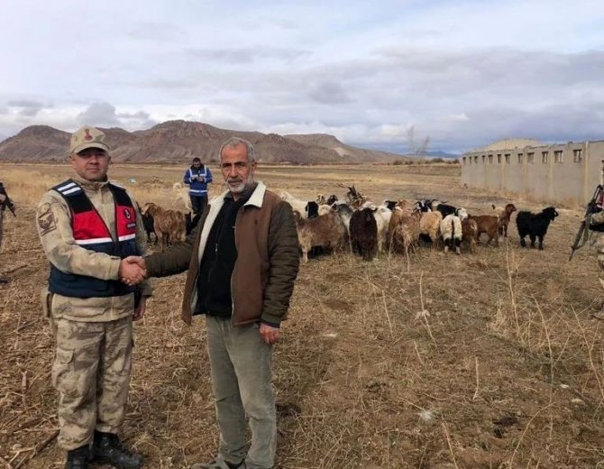 Kaybolan Keçi Sürüsü Dron İle Bulundu