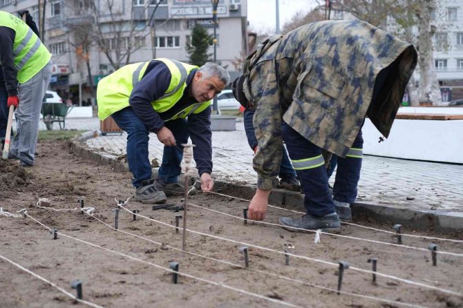 Kütahya, Kış Bitkileriyle Renklenecek