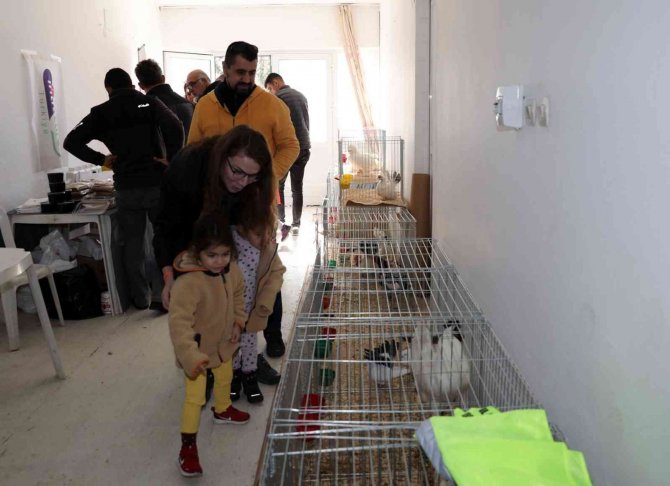 Menteşe’de Kümes Hayvanları Gösterisi