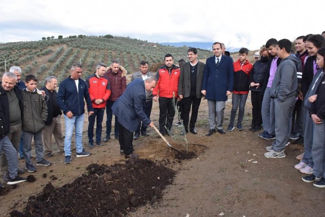 Muğla’da ’Dünya Zeytin Günü’ Kutlandı
