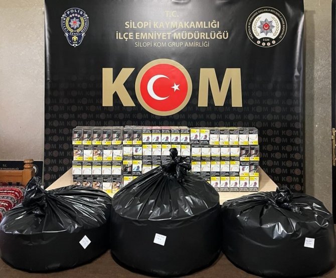 Şırnak’ta Kaçakçılık Ve Asayiş Operasyonu: 67 Gözaltı