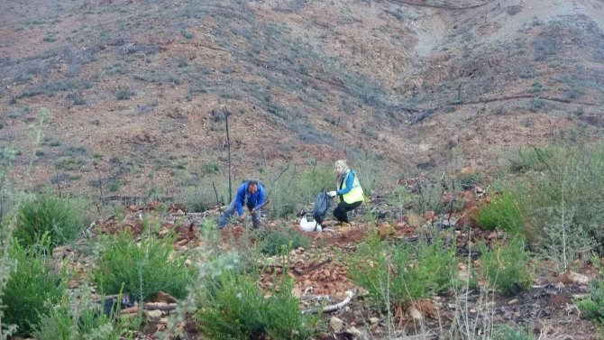 Sosyal Medyadan Haberleştiler, 500 Fidan Diktiler