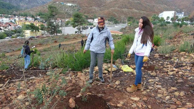 Sosyal Medyadan Haberleştiler, 500 Fidan Diktiler