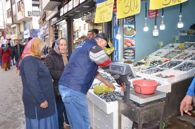 Ordu’da Tezgahlarda Hamsi Bolluğu: Fiyatı 30 Liraya Düştü