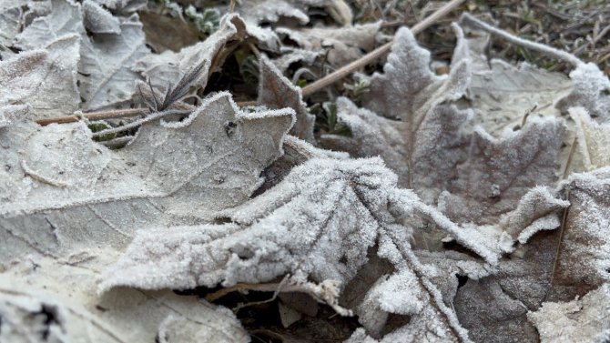 Soğuk Hava Ağrı’yı Etkisi Altına Aldı