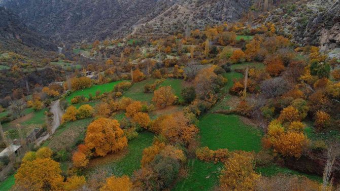Harabe Evler Ve Sonbaharın Ahengi Görenleri Hayran Bırakıyor