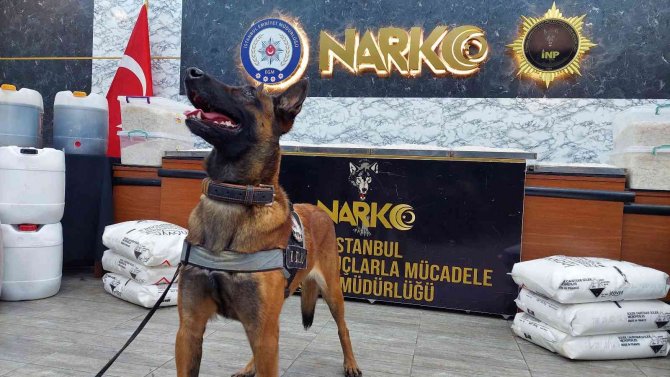 İ̇stanbul’da Uyuşturucu Operasyonu: 24 Gözaltı