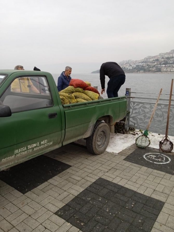Kaçak Midye Avcılarına Operasyon: Ele Geçirilen Midyeler Denize Bırakıldı