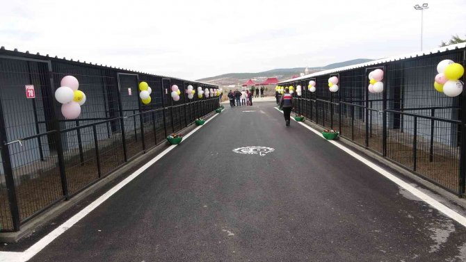 Cumhurbaşkanı Talimat Verdi, Uşak Hayvan Barınağı Yeni Yüzüyle Açıldı