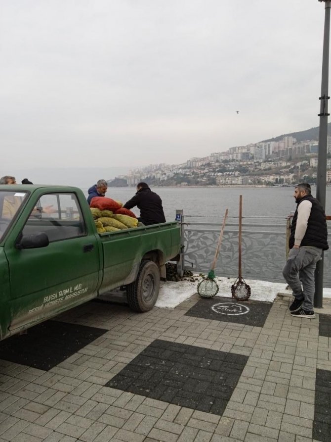 Kaçak Midye Avcılarına Operasyon