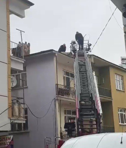 Binanın Çatısında Mahsur Kalan Köpeği, İtfaiye Kurtardı