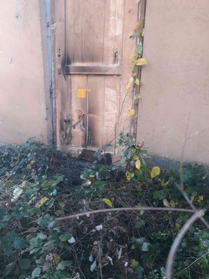 Husumetlisinin Evini Kundaklamaya Gitti, Ağabeyi Vuruldu