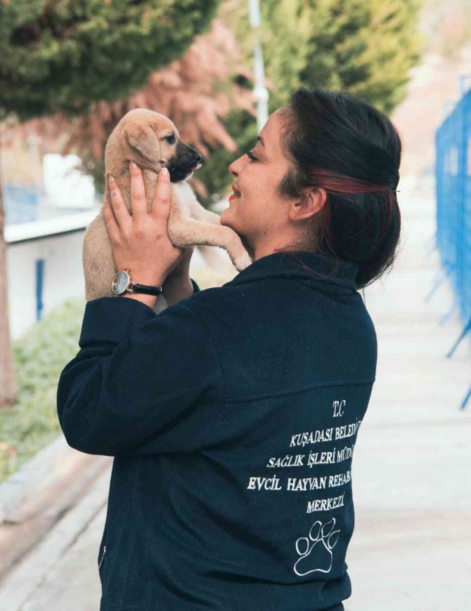 Kuşadası’ndaki Hayvan Rehabilitasyon Merkezi İnternetten Canlı Olarak İzlenebiliyor