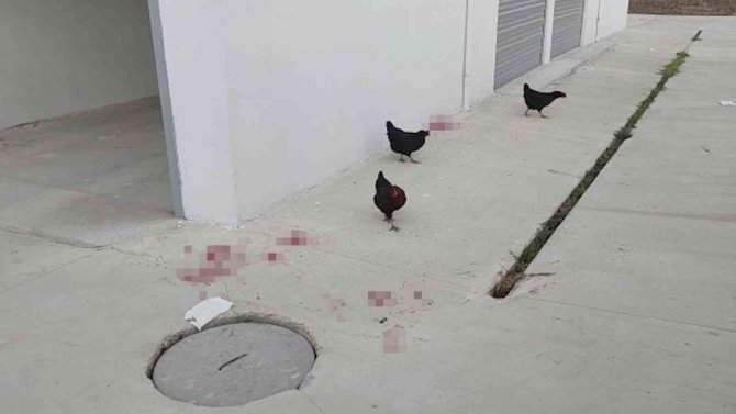 Yengesini Bıçakladıktan Sonra 3’üncü Kattan Atladı