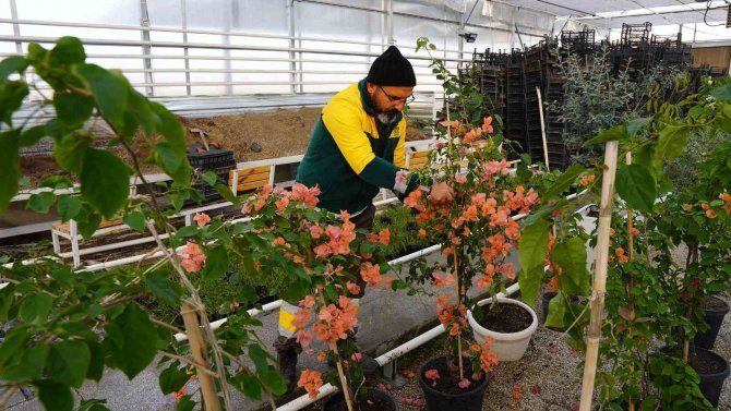 Keçiören’deki Akıllı Serada Onlarca Tür Bitki Yetiştiriliyor