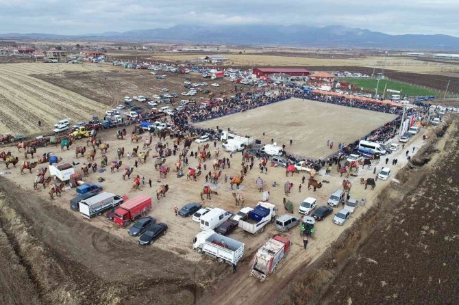 Pehlivan Develer, 50 Yıl Sonra Tavas Arenasında Boy Gösterdi