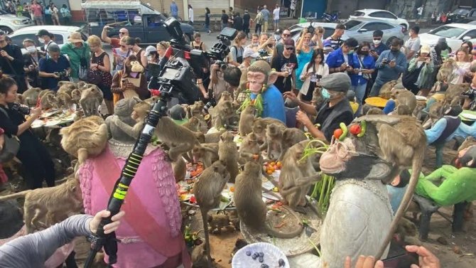 Tayland’da Maymun Festivali Düzenlendi