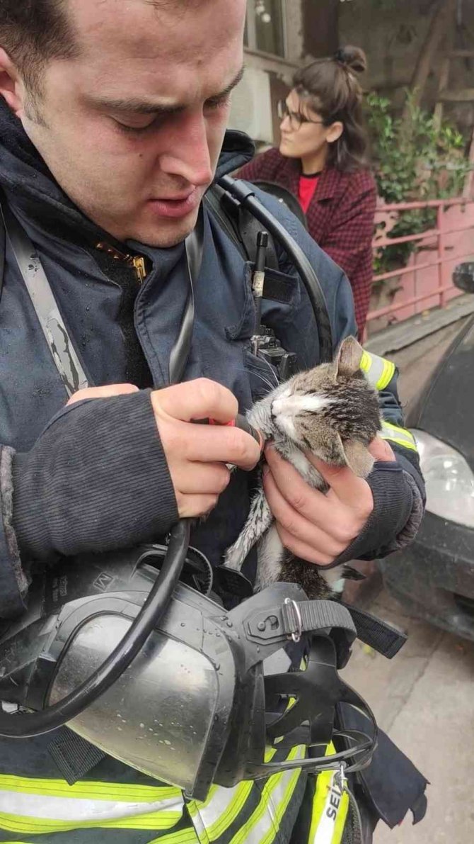 Yanan Evden Çıkarılan Kediyi Hayatta Tutma Mücadelesi