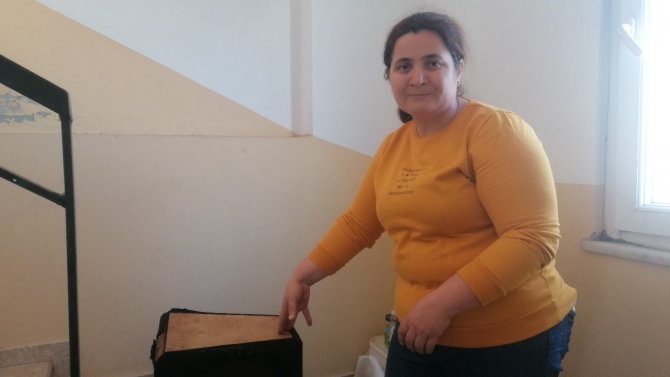Girdiği Apartmandan Hem Pazar Arabası Hem De 2 Damacana Zeytinyağı Çalan Hırsız Yakalandı