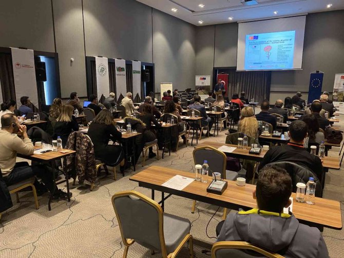 Çanakkale’de ’Hasbenli Sığırkuyruğu Eylem Planı Çalıştayı’ Düzenlendi