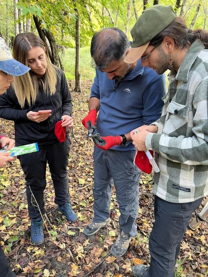Zararlı Böceklere Karşı Kullanılacak Yarasalar İle İlgili Çalışmalar Sürüyor