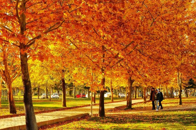 Kampüste Sonbahar Güzelliği