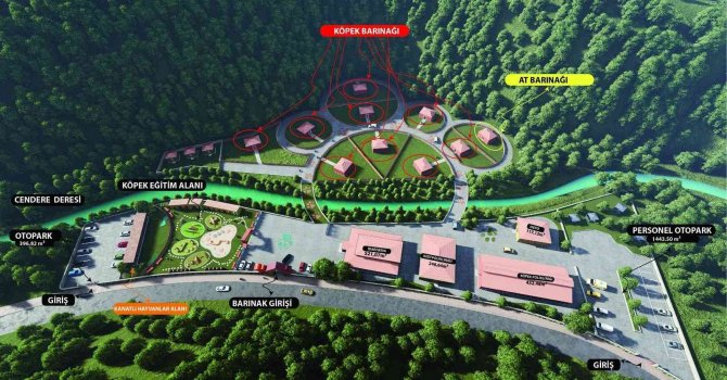 Başıboş Hayvanlar İçin Barınak Projesi Hazır