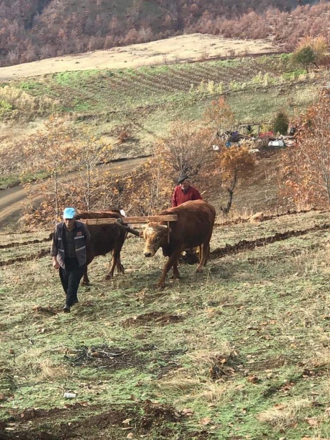 Bu Köyde Hala ’Kara Saban’ Kullanılıyor